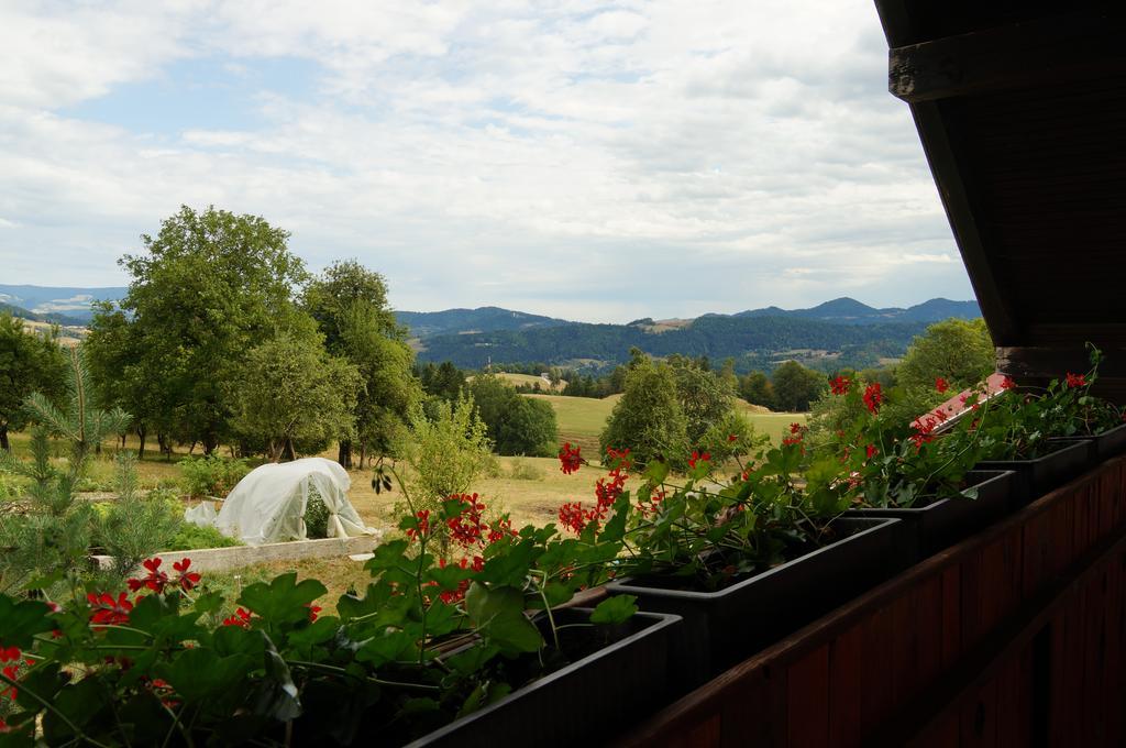Tourist Farm Samec Villa Sele Exterior photo